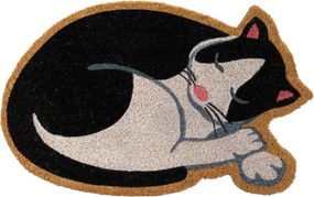 Rohožka z kokosového vlákna 40x60 cm Cat – Casa Selección