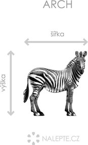 Zebra textilní prelepiteľná nálepka na stenu list 44 x 45 cm