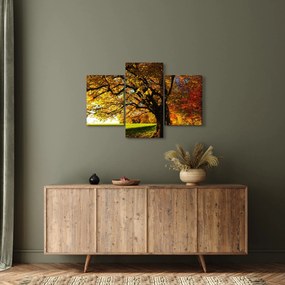 Obraz jesene (90x60 cm)
