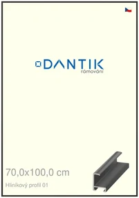 DANTIK rám na obraz 70x100 | ALU Černá matná (Plexi Čiré)