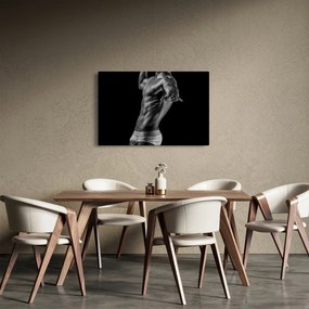 Obraz - Mužský akt (90x60 cm)