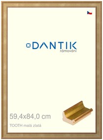 DANTIK rám na obraz 59,4x84 | TOOTH malá zlatá (Plexi Čiré)