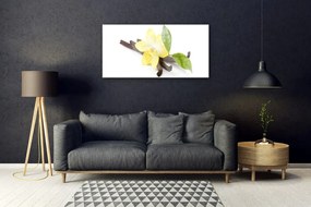 Skleneny obraz Vanilka listy rastlina 120x60 cm