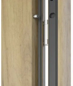 Kovové vchodové dvere S68 Neptun 90 P dub sonoma