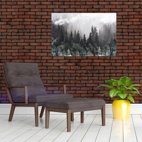 Obraz - Les s ilustrovanými prvkami (90x60 cm)