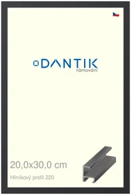 DANTIK rám na obraz 20x30 | ALU Černá matná (Sklo Čiré)
