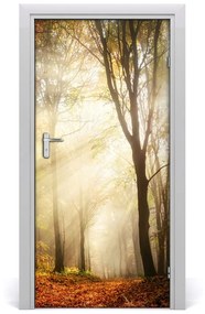 Fototapeta na dvere samolepiace les jeseň 85x205 cm