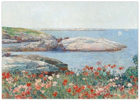 Obraz - Childe Hassam, Poppies,  Isles of Shoals, reprodukcia (70x50 cm)