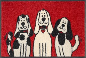 Kreslení psíčkovia- červená rohožka 40x60 cm