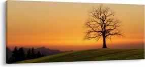 Obraz západu slnka na lúke (120x50 cm)
