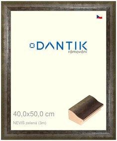 DANTIK rám na obraz 40x50 | NEVISzelená (Sklo Čiré)