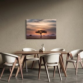 Obraz západu slnka v Tanzánii (90x60 cm)