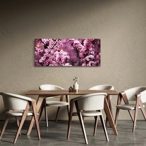 Obraz - Ružová sakura (120x50 cm)