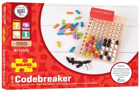 Bigjigs Logik