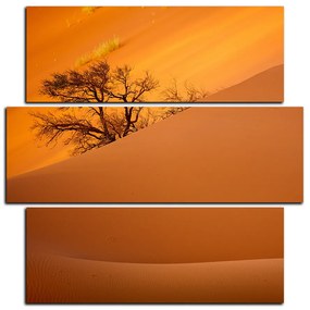 Obraz na plátne - Červené piesočné duny - štvorec 3133D (105x105 cm)