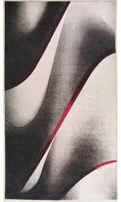 Bielo-čierny prateľný koberec 80x50 cm - Vitaus