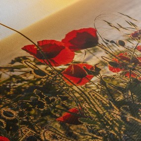 Obraz západu slnka s vlčími makmi (s hodinami) (90x30 cm)