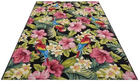 Koberec Hanse Home Flair Tropical Feeling viacfarebný