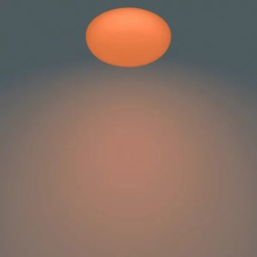 Philips - LED Stmievateľné stropné svietidlo TOBA 1xLED/23W/230V + DO