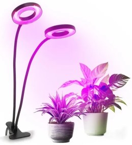 LED stolná lampa s klipom pre pestovanie VITARO 2xLED/4W/230V čierna