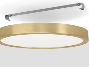 Eglo 900182 - LED stropné svietidlo FUEVA LED/20,5W/230V pr. 28,5 cm