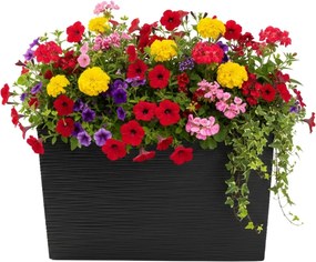 Sada 2 ks květináčů Riflo 56×19/36,2×56,1 cm černá