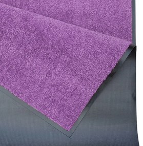 Hanse Home Collection koberce Rohožka Wash & Clean 103838 Violett - 40x60 cm