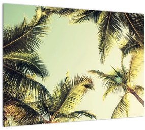 Sklenený obraz s kokosovými palmami (70x50 cm)