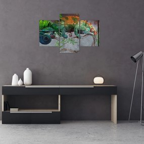 Obraz - Chameleon (90x60 cm)