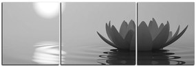 Obraz na plátne - Zen lotus - panoráma 5167QC (90x30 cm)