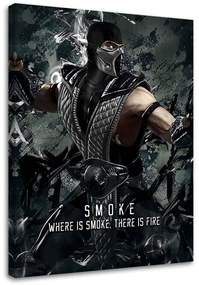 Gario Obraz na plátne Postava z hry Mortal Kombat Smoke - SyanArt Rozmery: 40 x 60 cm