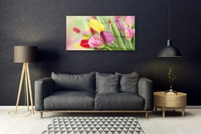 Obraz na skle Tulipány kvety rastlina 140x70 cm