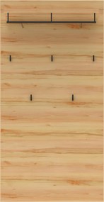 XXXLutz VEŠIAKOVÝ PANEL, farba buka, čierna, 80/158/28 cm Cantus - Vešiakové steny - 002737049304