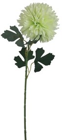 Chryzantéma zelená X5787-15