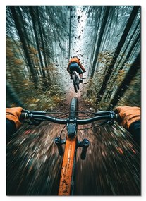 drevko |  Obraz na stenu Bike adrenalín