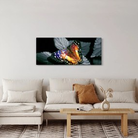 Obraz motýľa (120x50 cm)