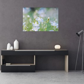 Obraz - Jemné kvety (90x60 cm)
