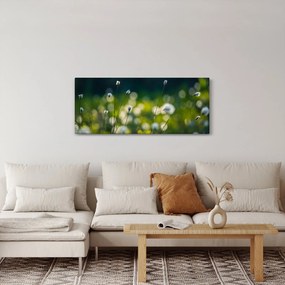 Obraz - Tráva (120x50 cm)