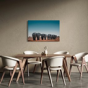 Obraz - Odchod slonov (90x60 cm)