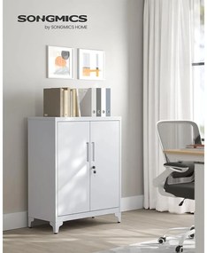 SONGMICS Oceľová kartotéka s 2 uzamykateľnými dvierkami – OMC013 Farba: sivá