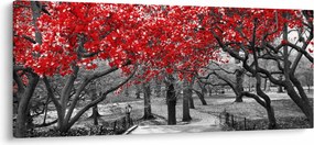 Obraz - Červené stromy, Central Park, New York (120x50 cm)