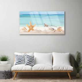 Skleneny obraz Hviezdice mušle pláž 140x70 cm