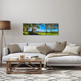 Obraz - Výhľad na pole (s hodinami) (90x30 cm)