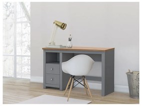 Pracovný stôl s doskou v dubovom dekore 50x120 cm Emerald – Støraa