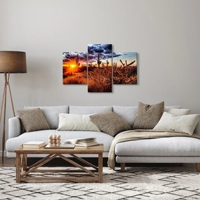 Obraz - Zlatá hodinka púšte (90x60 cm)