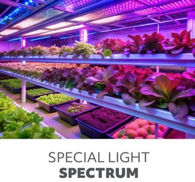 LED Stmievateľná stolná lampa na pestovanie rastlín VITARO 3xLED/10W/230V čierna