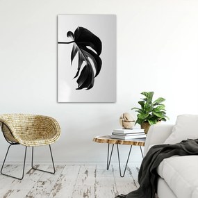 Gario Plagát Čierna a biela monstera list Farba rámu: Hnedá, Rozmery: 30 x 45 cm
