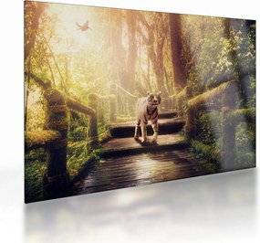 Sklenený obraz tigra (70x50 cm)