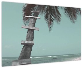 Obraz - Palma v Karibiku (90x60 cm)