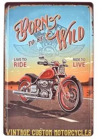Ceduľa 3D - Born To Be Wild